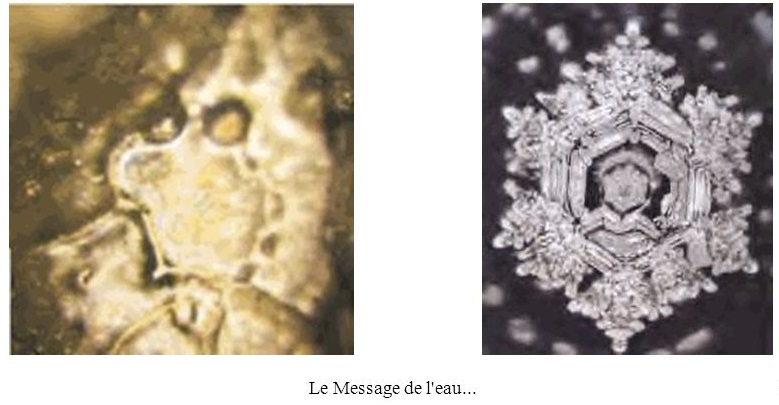 Cellule d eau bis.jpg