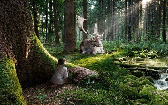 coin de nature avec enfant.jpg